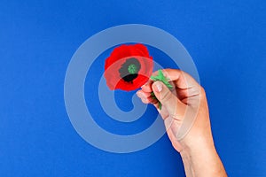 Diy paper red poppy Anzac Day, Remembrance, Remember, Memorial day crepe paper on blue background