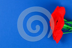 Diy paper red poppy Anzac Day, Remembrance, Remember, Memorial day crepe paper on blue background