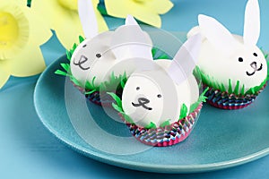 Diy rabbit from easter eggs on blue background. Gift ideas, decor Easter, spring. Handmade