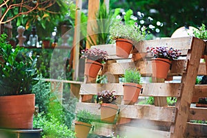 DIY recycled wooden pallet for flower pots. Storage industrial pallet used in gardening for a wall decoration as a shelf for