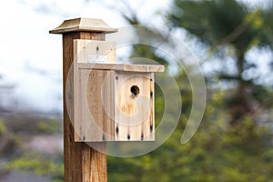 DIY wood birdhouse