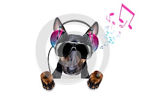 Dj disco dancing music dog