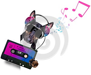 Dj disco dancing music dog