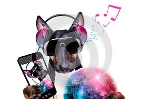 Dj disco dancing music dog