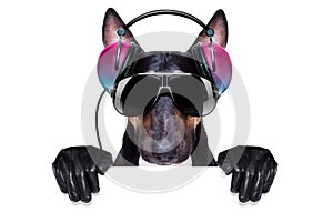 Dj disco dancing music dog