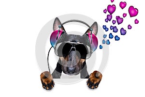 Dj disco dancing music dog