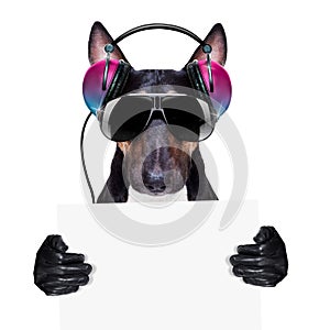 Dj disco dancing music dog