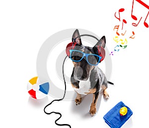 Dj disco dancing music dog on summer vacations