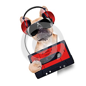 Dj disco dog