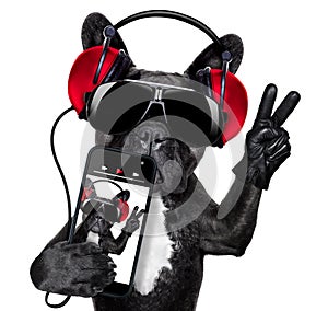 Dj dog