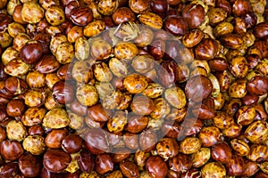 Djenkol bean fruit