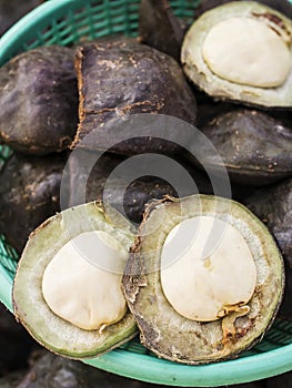 Djenkol bean fruit.