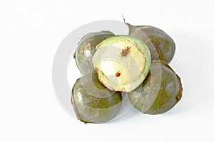 Djenkol bean or luk nieng fruit tropical plant on white background