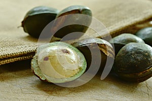 Djenkol bean or luk nieng fruit tropical plant on wooden board