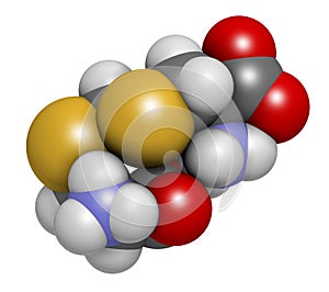 Djenkolic acid molecule. Toxic amino acid found in djenkol beans. 3D rendering. Atoms are represented as spheres with conventional