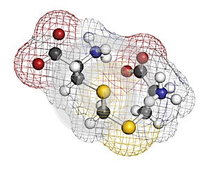 Djenkolic acid molecule. Toxic amino acid found in djenkol beans. 3D rendering. Atoms are represented as spheres with conventional