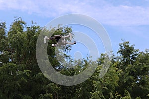 DJI Mavic Mini Drone Flying