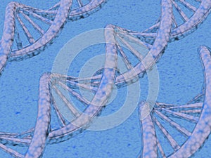 DNA