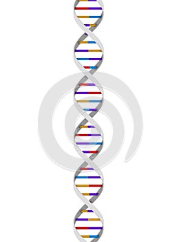 Dna