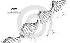 DNA. 3d polygonal wireframe DNA molecule. Medical science, genetic biotechnology, chemistry biology innovation technology