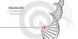 DNA. Abstract 3d polygonal wireframe dna molecule helix spiral on white background.