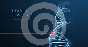 DNA. Abstract 3d polygonal wireframe dna molecule helix spiral on white background