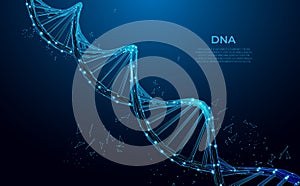 DNA. Abstract 3d polygonal wireframe DNA molecule. Medical science, genetic biotechnology, chemistry biology, gene cell concept