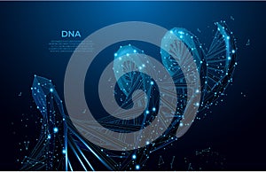 DNA. Abstract 3d polygonal wireframe DNA molecule. Medical science, genetic biotechnology, chemistry biology, gene cell concept ve