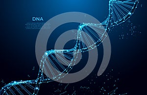 DNA. Abstract 3d polygonal wireframe DNA molecule. Medical science, genetic biotechnology, chemistry biology, gene cell concept ve