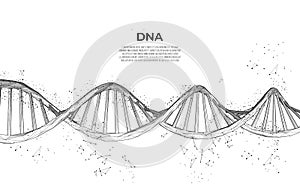 DNA. Abstract 3d polygonal wireframe DNA molecule. Science, genetic biotechnology, chemistry biology, gene cell concept vector ill