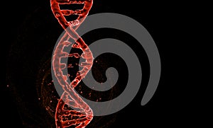 DNA. Abstract 3d polygonal wireframe DNA molecule helix spiral isolate on black background. Copy space left