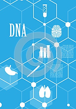 DNA abstract geometric background, layout in A4 set technology brochure flyer design template vector shadow