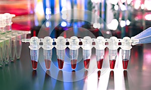 DNA amplification by PCR