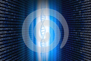 DNA and binary code