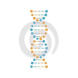 DNA in blue and orange color. Vector illustration