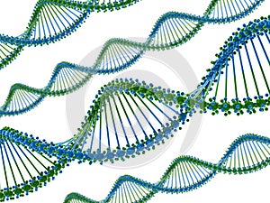 DNA chains