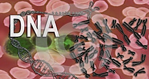 DNA - Chromosomes - Genetic Engineering