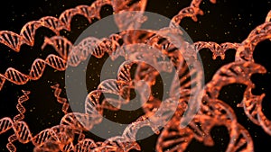 DNA code. Abstract 3d polygonal wireframe DNA molecule helix spiral. Loop animation.