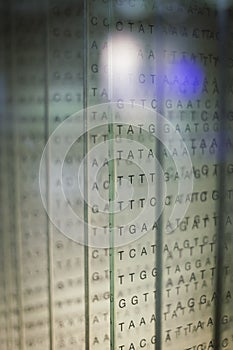 DNA code capital letters matrix printed on flat transparent glasses in a row abstract scene