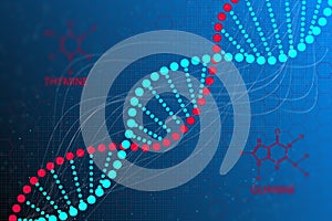 DNA code structure