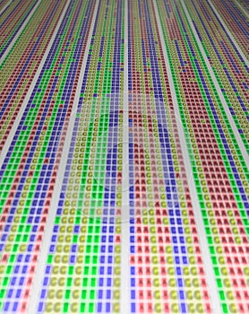 DNA colorful alignment - bottom view