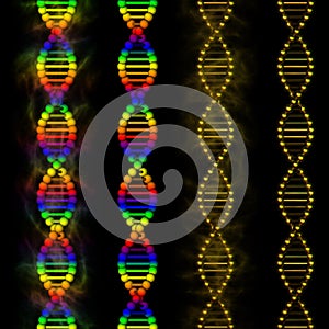 DNA - deoxyribonucleic acid