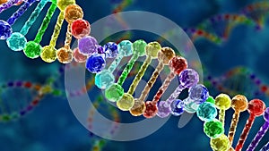 DNA - deoxyribonucleic acid - animation of DNA