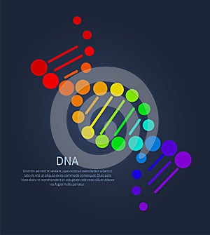 DNA Deoxyribonucleic Acid Chain Nucleotides Poster