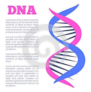 DNA Deoxyribonucleic Acid Chain Nucleotides Poster