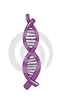 DNA or deoxyribonucleic acid molecule carrying genetic information isolated on white background. Double helix structure