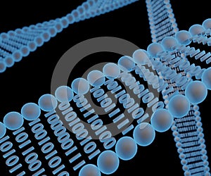 DNA digital data storage for bioinformatics photo
