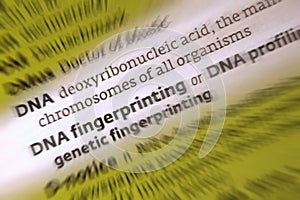 DNA - DNA Fingerprinting