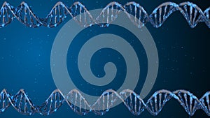 DNA double helix