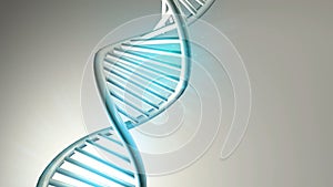 DNA double helix model on a light gray background, 3D render.